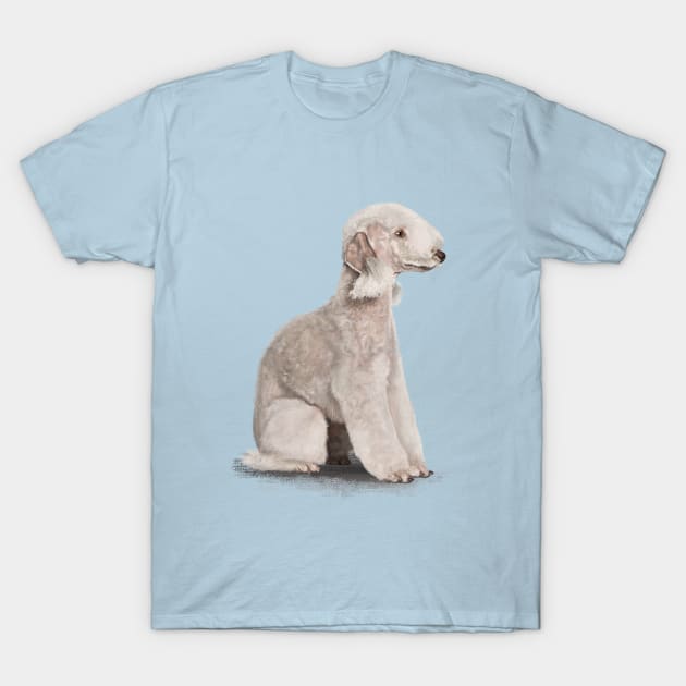 The Bedlington Terrier T-Shirt by Elspeth Rose Design